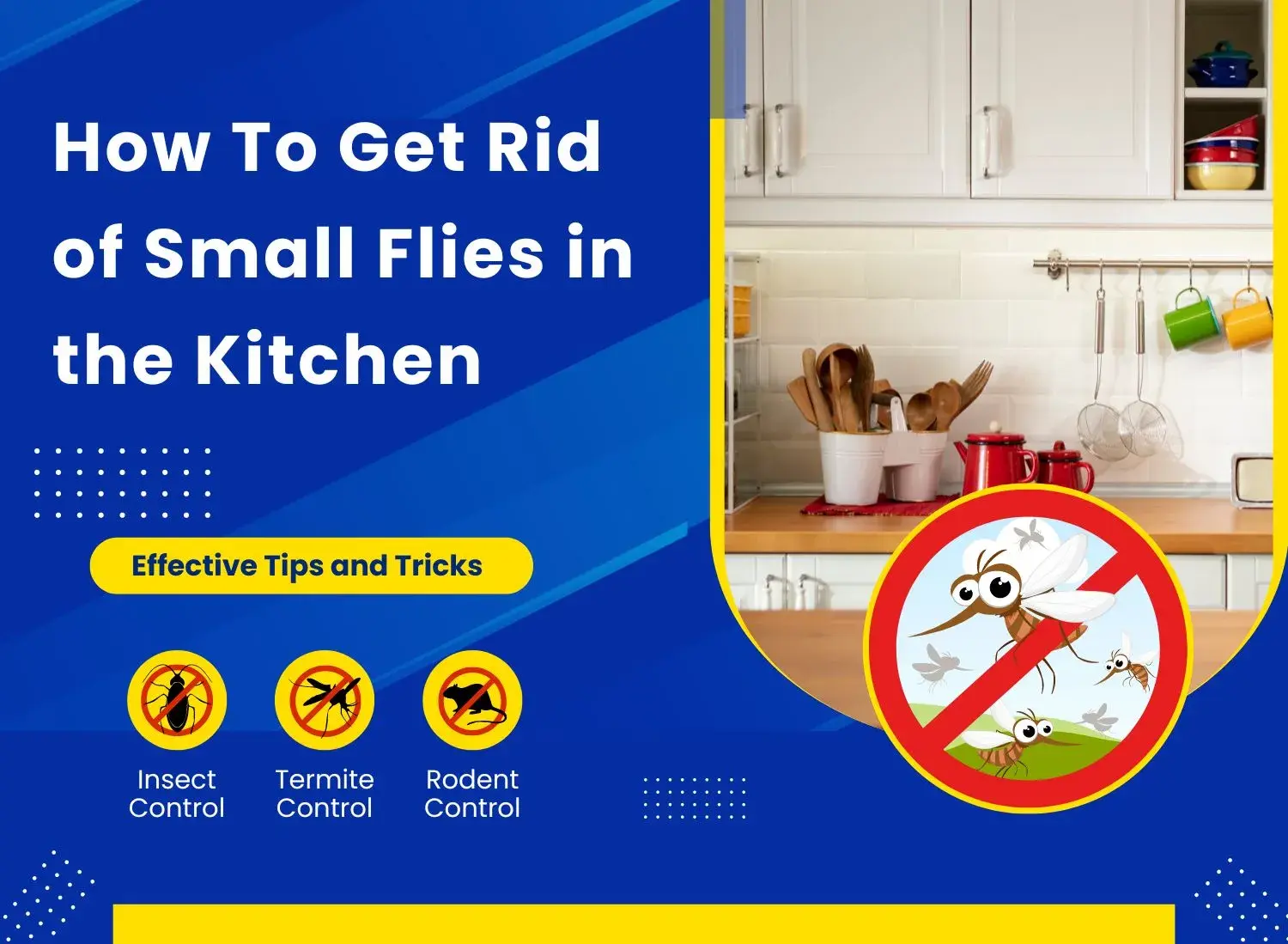 How To Get Rid of Small Flies in the Kitchen: Proven Tips